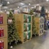 pallets de árboles de Navidad en liquidación en México