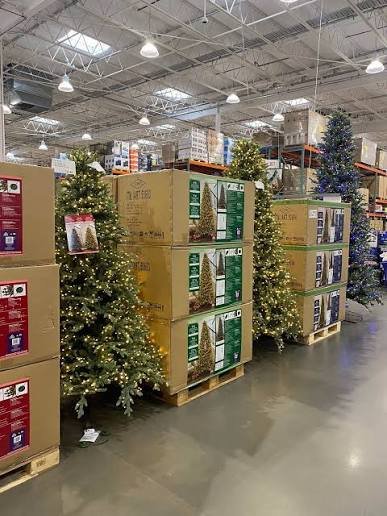 pallets de árboles de Navidad en liquidación en México