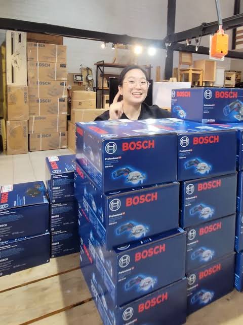 pallets de herramientas Bosch para reventa en México